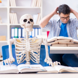 kpi демотивирует