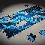 Нехватка молодых кадров, эйджизм и самозанятость: с какими проблемами столкнулся рынок труда из-за пандемии