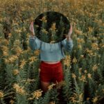 Как развить HR-бренд компании https://unsplash.com/photos/standing-woman-surrounded-by-yellow-flower-field-during-daytime-M19QtooXPKs?utm_content=creditShareLink&utm_medium=referral&utm_source=unsplash