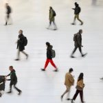 Как изменится рынок труда к 2030 году — доклад ВЭФ AdobeStock_507156535