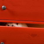 AdobeStock_102257124